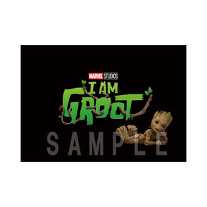 アイ・アム・グルート　パンフレット