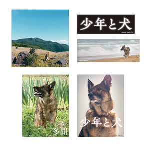 少年と犬　多聞ステッカーセット