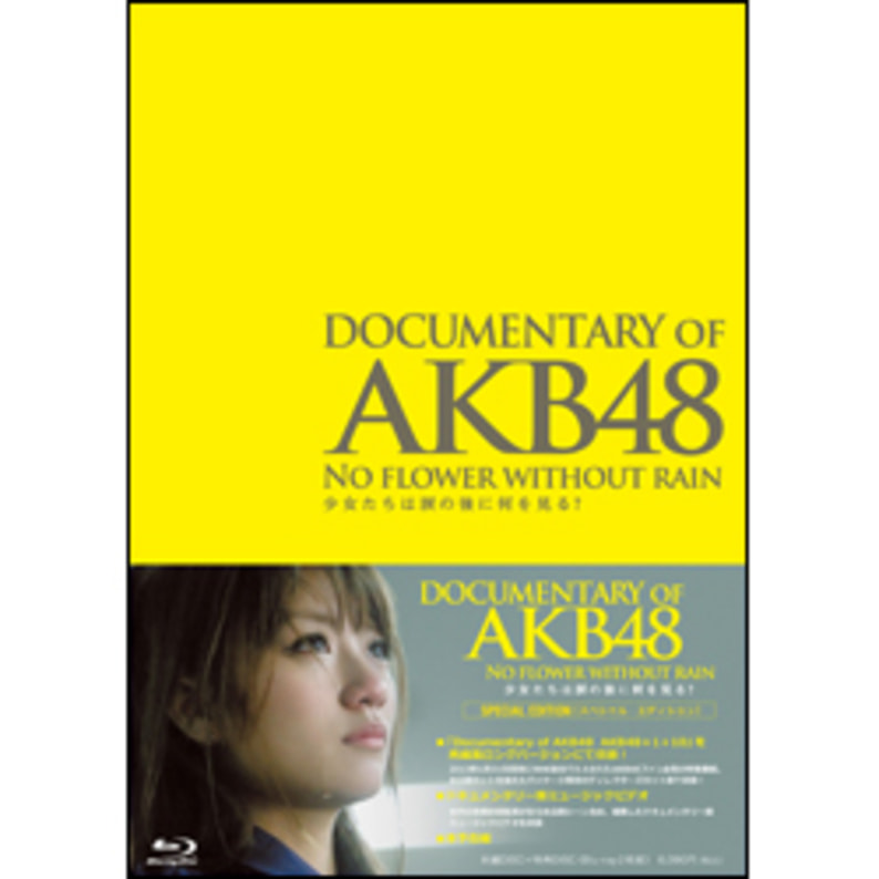 DOCUMENTARY OF AKB48 NO FLOWER WITHOUT RAIN 少女たちは涙の後に何を