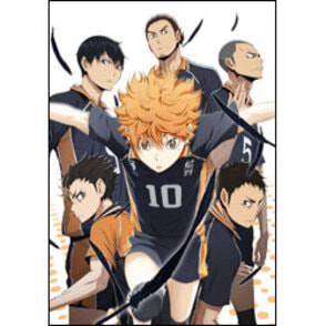 ハイキュー!!　vol.5　初回生産限定版〈Blu-ray〉