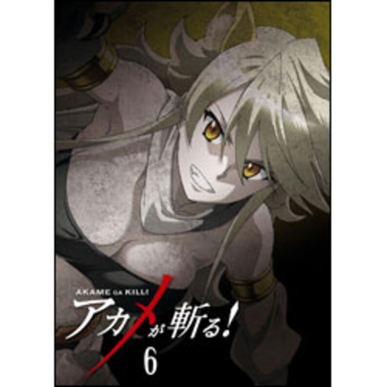 アカメが斬る！Vol.6　初回限定版〈Blu-ray〉（TBR24636D）｜TOHO theater STORE｜