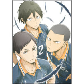 ハイキュー!!　烏野高校VS白鳥沢学園高校　vol.4 初回生産限定版〈Blu-ray〉