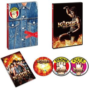 ハッピィ★ボーイズ 第3巻 / DVD TVドラマ★新品未開封 ハッピィ☆ボーイズ 第3巻 / DVD TVドラマ☆新品未開封