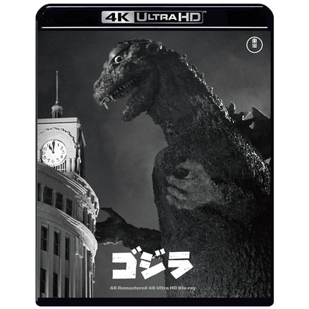 Amazon.com: Godzilla vs Kong Movie Monster Series Godzilla