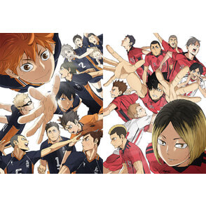 『劇場版ハイキュー!! ゴミ捨て場の決戦』Blu-ray 豪華版