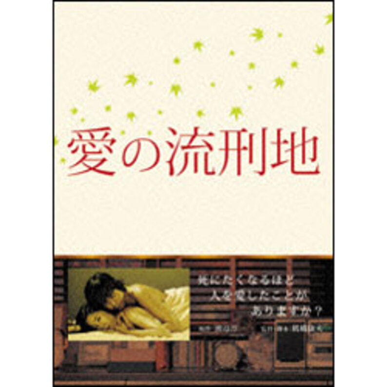 愛の流刑地（2枚組） 〈DVD〉（TDV17188D）｜TOHO theater STORE｜