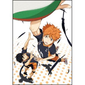 ハイキュー!!　vol.1　初回生産限定版〈DVD〉　