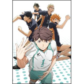 ハイキュー!!　vol.2　初回生産限定版〈DVD〉　