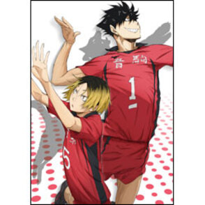 ハイキュー!!　vol.4　初回生産限定版〈DVD〉