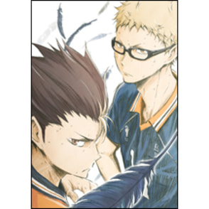 ハイキュー!!　烏野高校VS白鳥沢学園高校　vol.2 初回生産限定版〈DVD〉