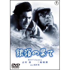 銀嶺の果て【名作セレクション】〈DVD〉