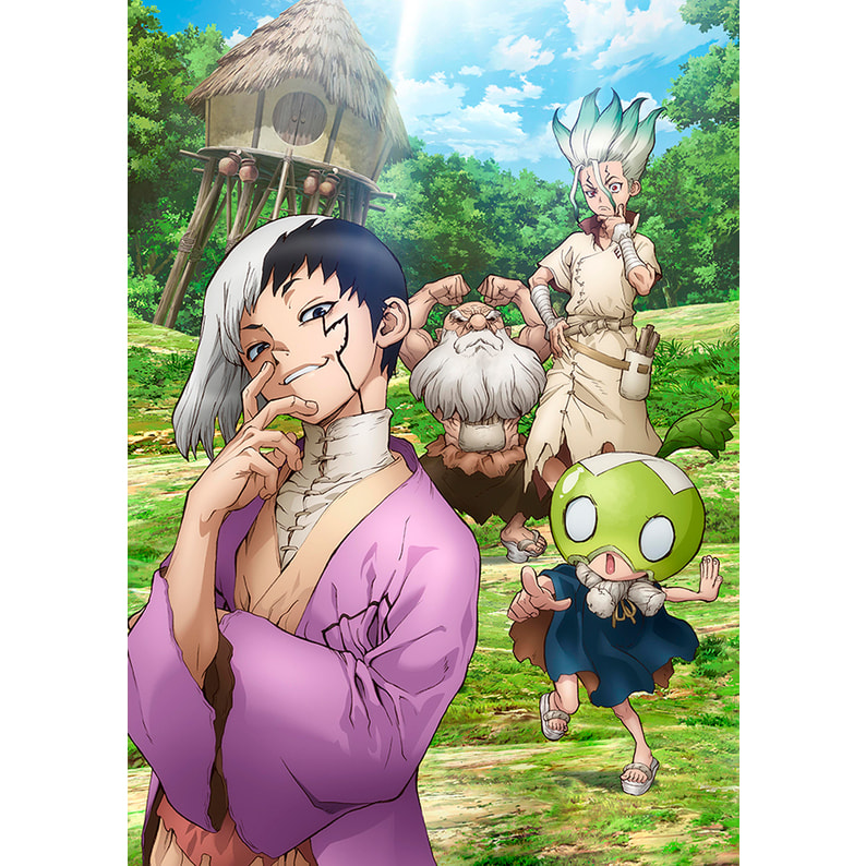 Ｄｒ．ＳＴＯＮＥ ドクターストーン Vol.5 DVD 初回生産限定版