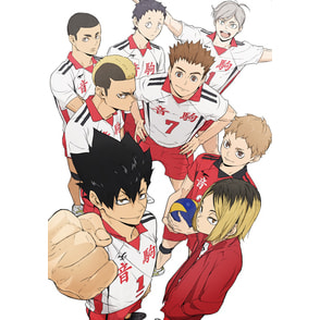 ハイキュー!!　TOP THE TOP　vol.5　初回生産限定版〈DVD〉