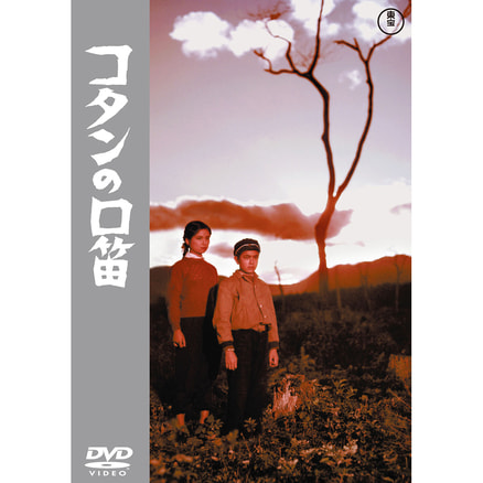 青い山脈 續青い山脈 2枚組＜東宝DVD名作セレクション＞（TDV30037D