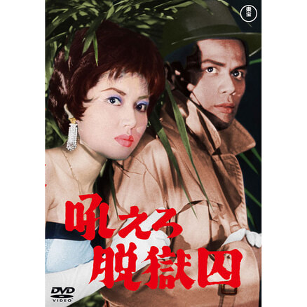 秘録・太平洋戦争全史【戦記映画復刻版シリーズ1】〈DVD〉（KDD000001