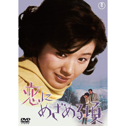 タッチ DVD COLLECTION 1（6枚組）（TDV19021D）｜TOHO theater STORE｜