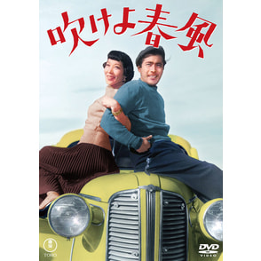 dvd 安い 新着