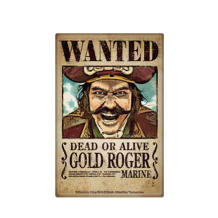 ワンピース カードゲーム ゴールド・D・ロジャー WANTED