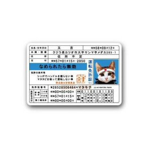 LCS-447 なめ猫 免許証 なめ猫ダイカットビニールステッカー
